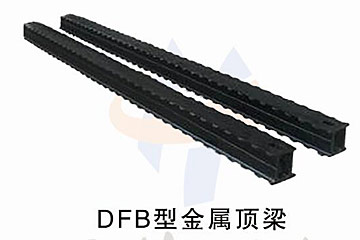 DFB型金屬頂梁.jpg